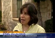 Ethel Villalobos on KITV News